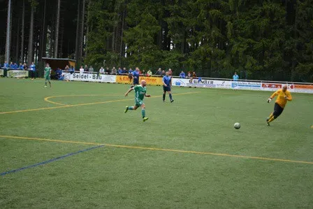 Aufstieg 2014