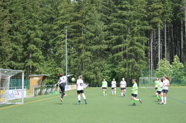 Vereinsfest 2023 + 1. Elfmetercup