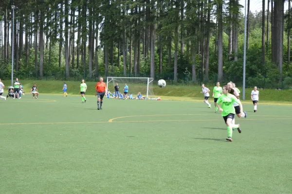 Vereinsfest 2023 + 1. Elfmetercup