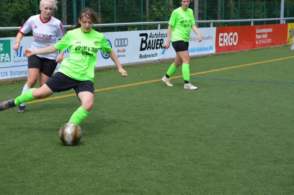 Vereinsfest 2023 + 1. Elfmetercup