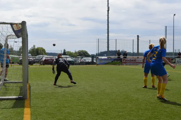 Vereinsfest 2023 + 1. Elfmetercup