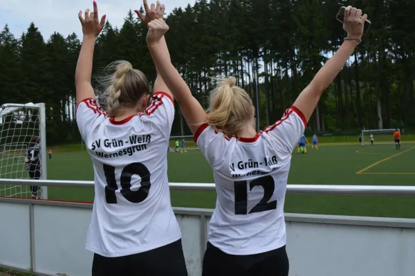 Vereinsfest 2023 + 1. Elfmetercup
