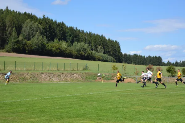 18.08.2019 SV 08 Wildenau vs. SV Wernesgrün