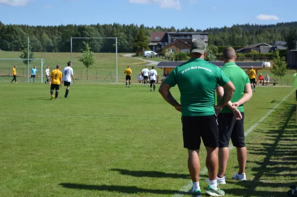 18.08.2019 SV 08 Wildenau vs. SV Wernesgrün