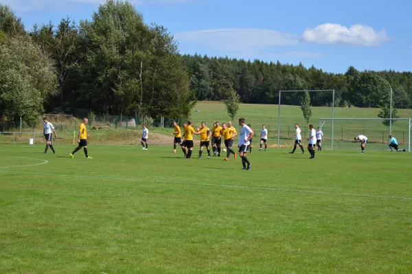 18.08.2019 SV 08 Wildenau vs. SV Wernesgrün