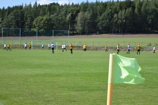 18.08.2019 SV 08 Wildenau vs. SV Wernesgrün