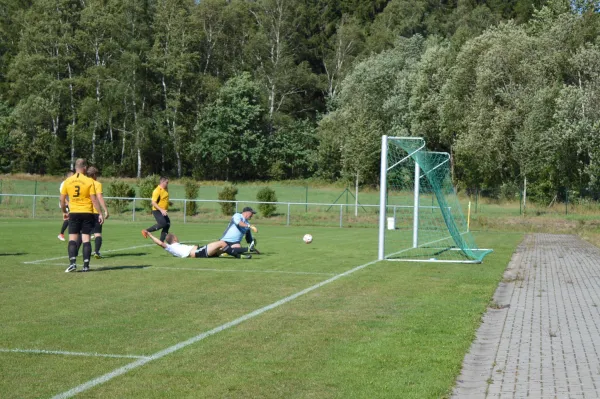 18.08.2019 SV 08 Wildenau vs. SV Wernesgrün