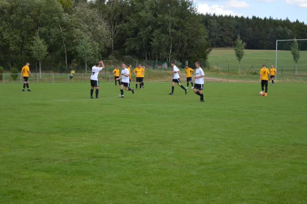 18.08.2019 SV 08 Wildenau vs. SV Wernesgrün