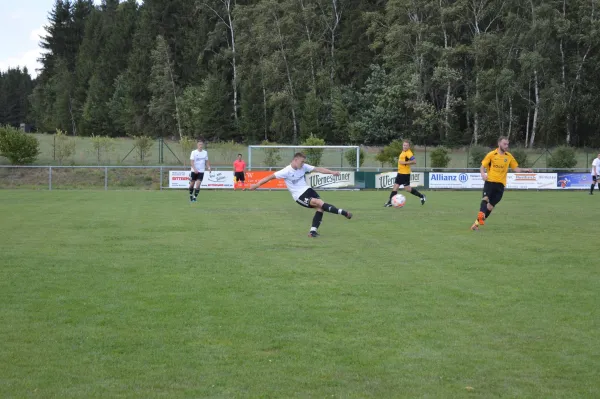 18.08.2019 SV 08 Wildenau vs. SV Wernesgrün